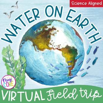 Preview of Virtual Field Trip Bodies of Water on Earth Google Digital Resource Activities