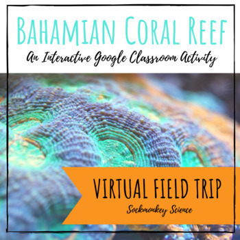 Preview of Virtual Field Trip: Distance Learning Science for Google | The Coral Reef