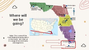 Preview of Virtual Field Trip: Florida Everglades Ecosystems