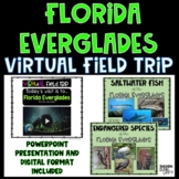 Virtual Field Trip Florida Everglades - Florida Everglades