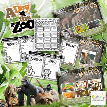 Preview of Virtual Field Trip: Jacksonville Zoo