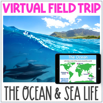 Preview of Virtual Field Trip - The Ocean - Fun Friday - Fun After State Testing Activity