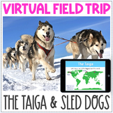 Virtual Field Trip - The Taiga Biome - Dog Sledding in Alaska