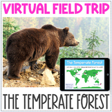 Virtual Field Trip - The Temperate Forest Biome - Black Bears