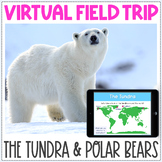 Virtual Field Trip - The Tundra Biome - Learn About Polar Bears