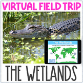 Virtual Field Trip - The Wetlands - Fun Aquatic Biome Activity