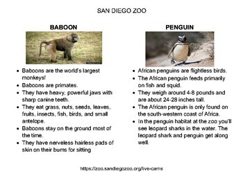Virtual Field Trip to San Diego Zoo- 