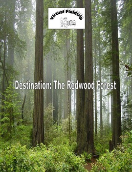 Preview of Virtual Fieldtrip - The Redwood Forest, Distance Learning