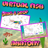 Virtual Fish Anatomy/Dissection Drag & Drop Activity with 