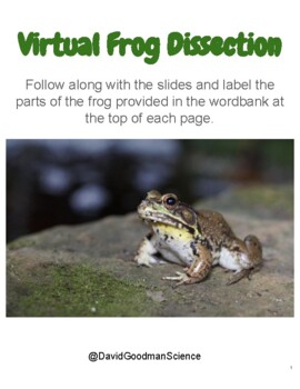 virtual frog dissection game online