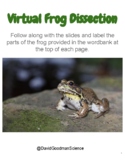 Virtual Frog Dissection