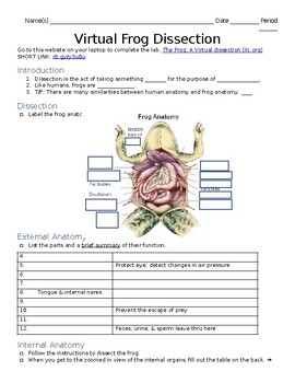 Preview of Virtual Frog Dissection