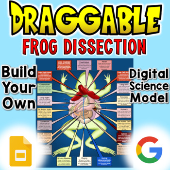 virtual frog dissection online free game