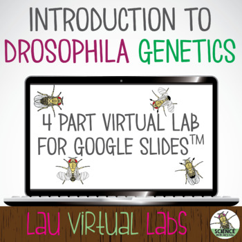 Preview of Virtual Fruit Fly Lab made for Google Slides ™