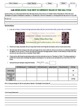 Mitosis Virtual Lab Worksheet Answer Key / The Cell Cycle ...
