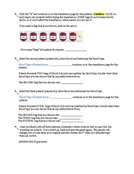 Worksheet Virtual Blood Type Lab Answers | schematic and wiring diagram