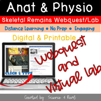 Preview of Anat & Physio (A&P) Skeletal System - Virtual Lab/Webquest (Digital/Printable)