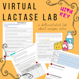 Virtual Lactase Enzyme Lab with differentiated questions f
