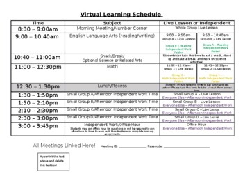 Preview of Virtual Learning Schedule - Completely Editable
