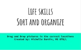 Virtual Life Skills Sorting & Organizing