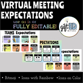 Virtual Meeting Expectations