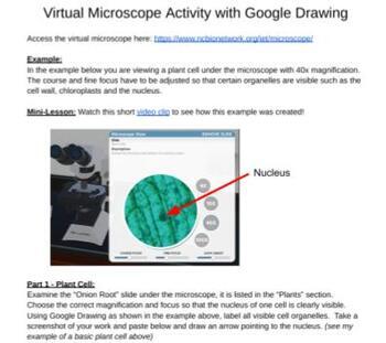 Preview of Virtual Microscope with Google Drawing