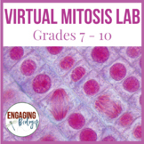 Virtual Mitosis Lab