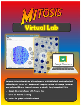 Preview of Virtual Mitosis Lab - Viewing Mitosis Phases