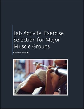 Preview of Virtual Muscle Lab Activity - Exercise Selection for Major Muscle Groups