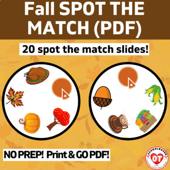 Preview of Virtual OT FALL/AUTUMN spot the match visual perceptual game: NO PREP 20 slides