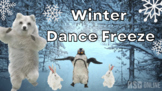 Virtual P.E. Game Video - Winter Dance Freeze - RSD Online