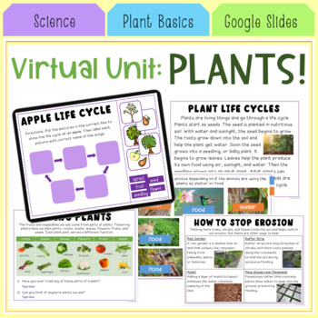 Preview of Virtual Plants Unit