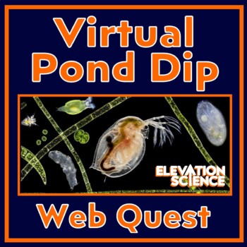 Preview of Virtual Pond Dip Microscopic Protists and Animals Activity Webquest