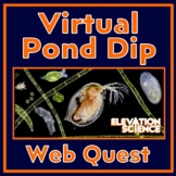 Virtual Pond Dip Microscopic Protists and Animals Activity