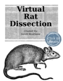 Virtual Rat Dissection