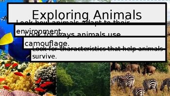 Preview of Virtual Reality Animals and Environments