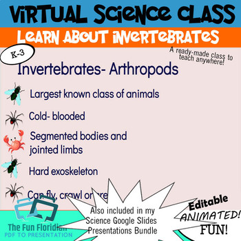 Virtual Science Class: Animal Classification Invertebrates by The Fun  Floridian