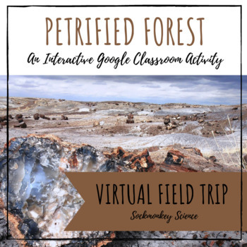 Preview of Virtual Science Field Trip for Google Classroom | Petrified Forest National Park