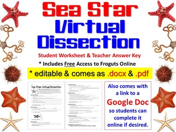 Preview of Virtual Sea Star (Starfish) Dissection Worksheet (Paper & Digital options)