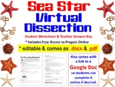 Virtual Sea Star (Starfish) Dissection Worksheet (Paper & 