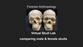 Preview of Virtual Skull Lab - Comparing Male & Female Skulls (for remote or in-person) 