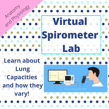Preview of Virtual Spirometer Lab (Respiratory System)