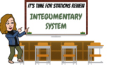 Virtual Stations Review: Integumentary System (Skin)-Revie