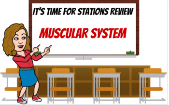 Preview of Virtual Stations Review: Muscular System-Review for Exam