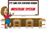 Virtual Stations Review: Muscular System-Review for Exam
