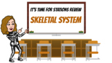 Virtual Stations Review: Skeletal System-Review for Exam