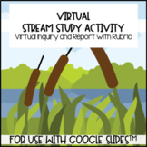 Virtual Stream Study for use with Google Slides™️ Distance