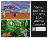 Virtual Zoo Field Trip