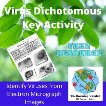 Preview of Virus Dichotomous Key Activity