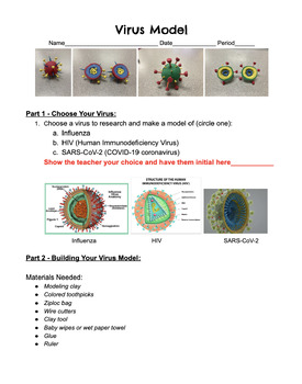 Preview of Virus Model